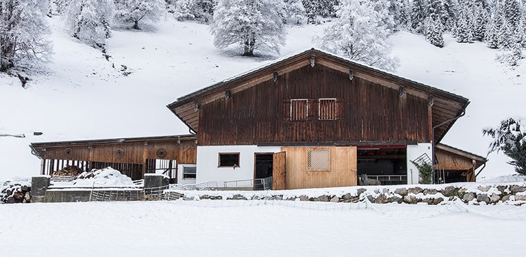 Franz's sheep stable, Airbnb Berchtesgaden, Germany
