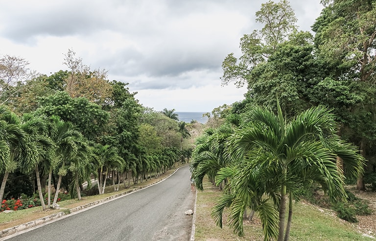 Road to Dunn's River falls, Ocho Rios, Jamaica