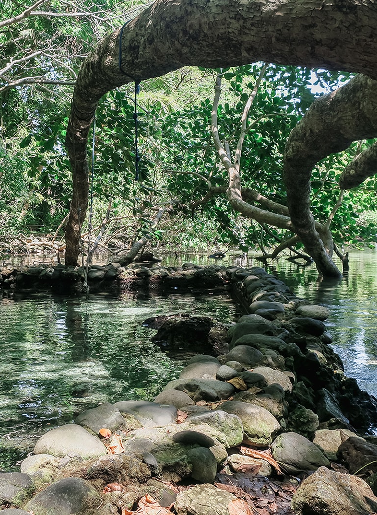 Mineral spring, Blue Lagoon, Portland, Jamaica