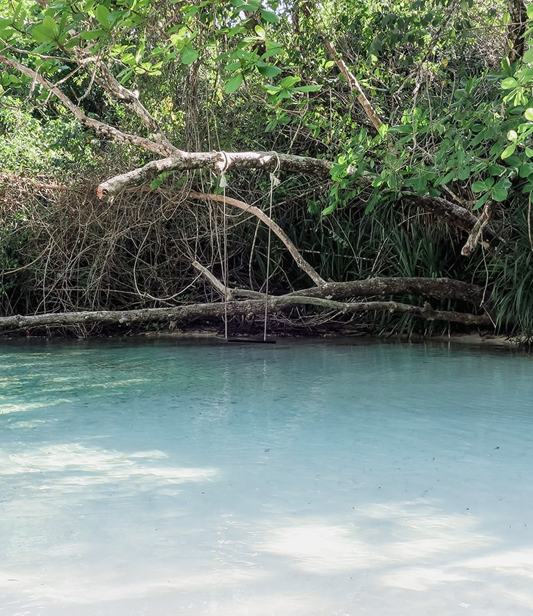 Swing Frenchman's Cove, Jamaica