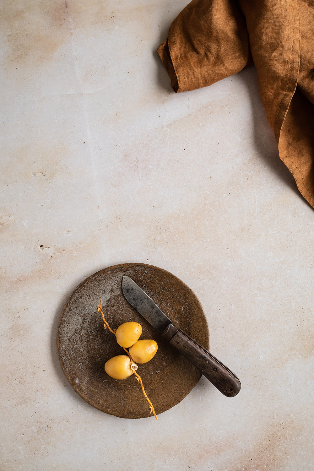 Toffee is a brown toned backdrop with a natural stone look for photography