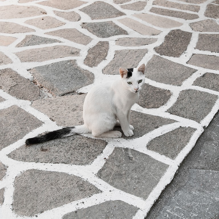 Vourliotes, Samos, Greece