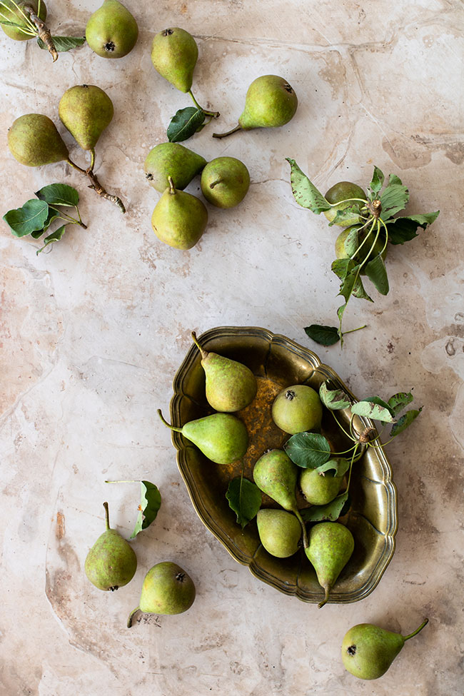 Food photography backdrop 'creamy' is a great catch, beautiful structures and colors