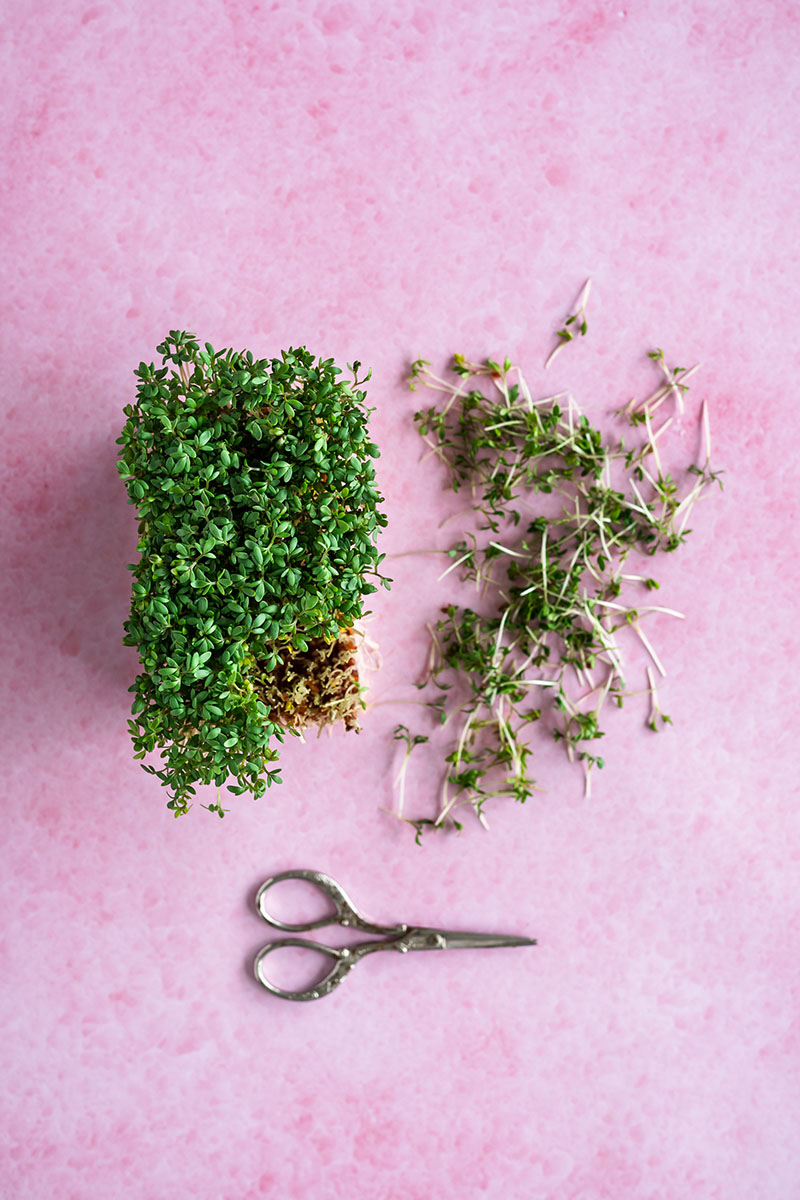 Pink backdrop ‘lollypop pink’ with soft texture, ideal for food photography