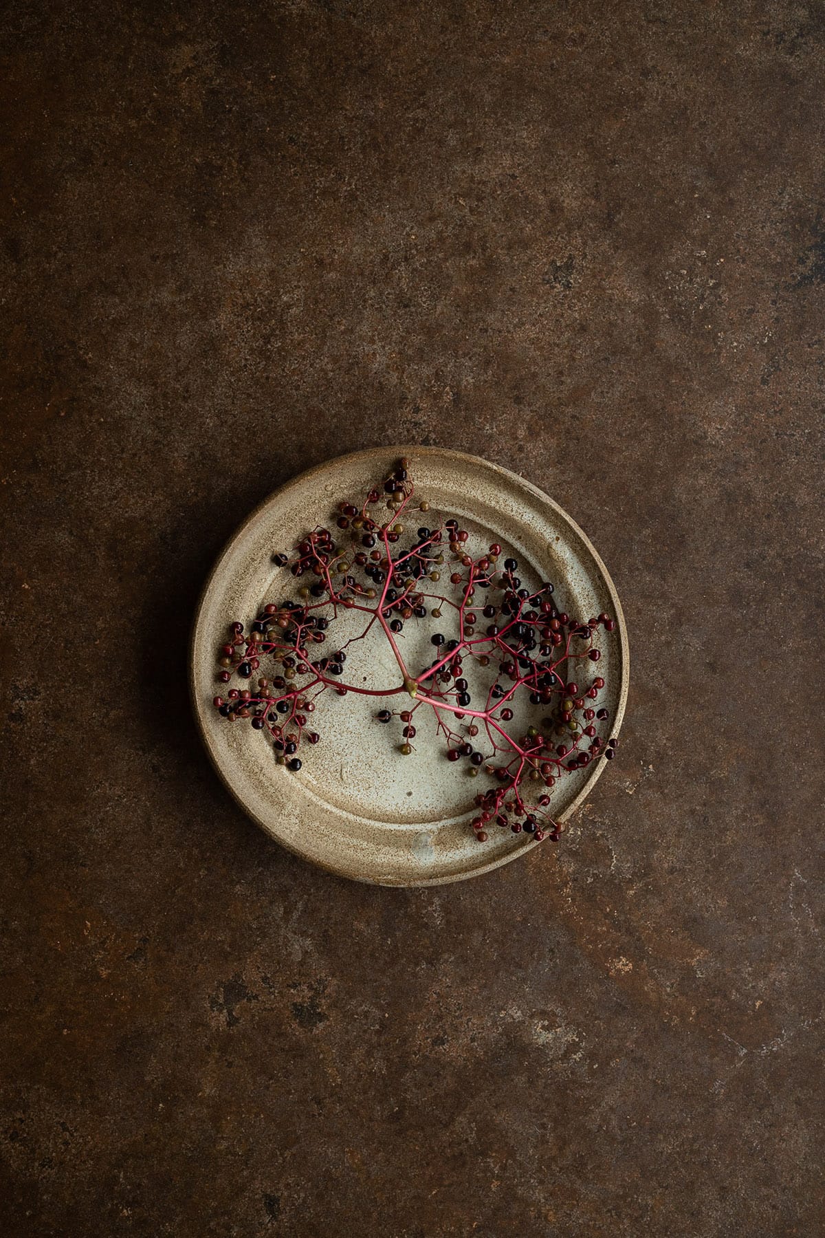Brown backdrop with warm chocolate tones for moody photography