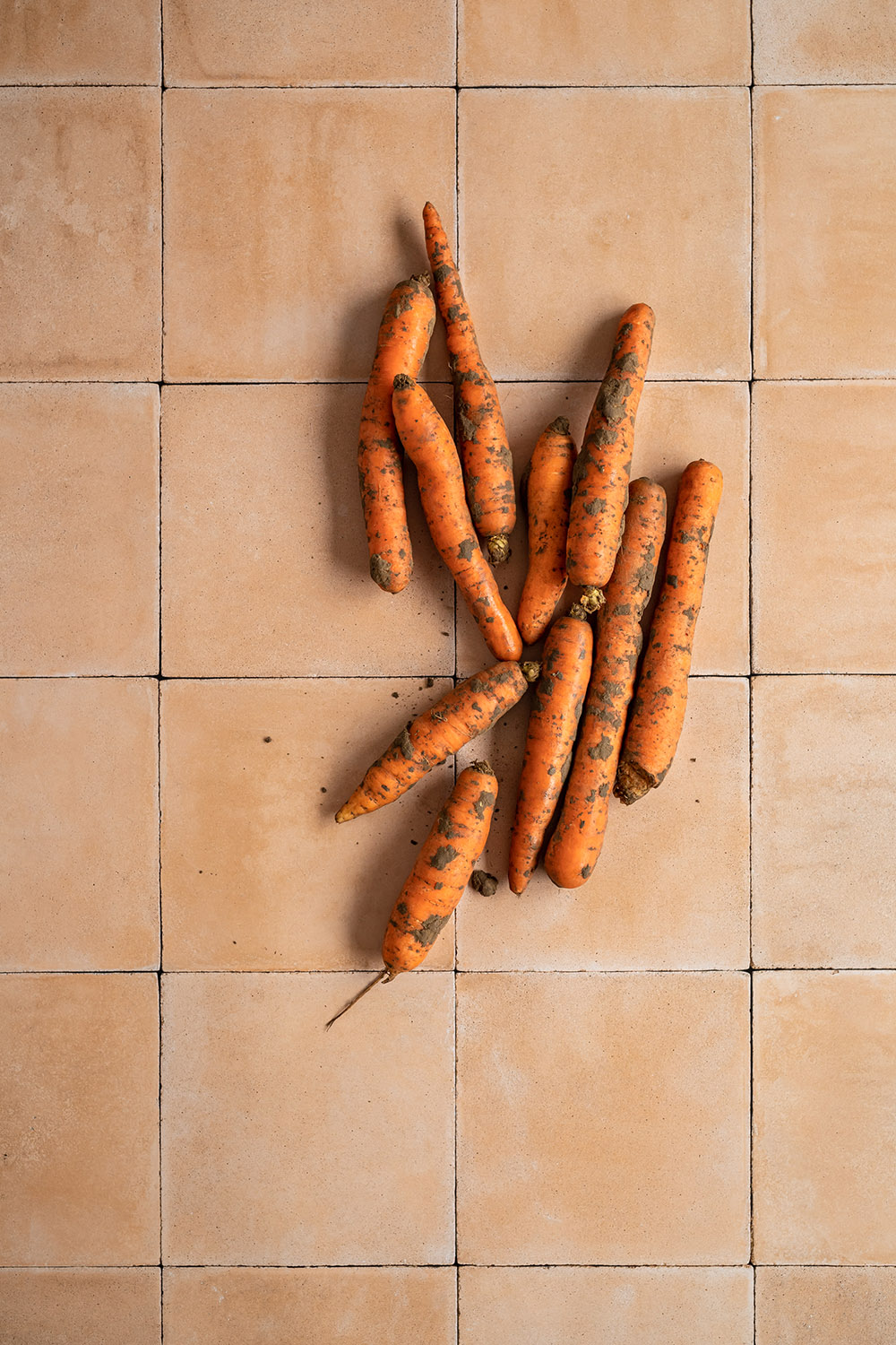 Light terracotta tiles photography backdrop printed on smooth vinyl