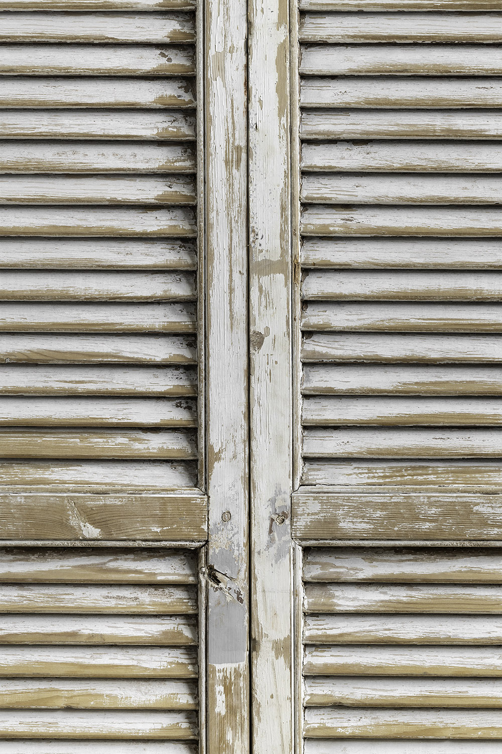 French shutters backdrop for photography printed on smooth vinyl