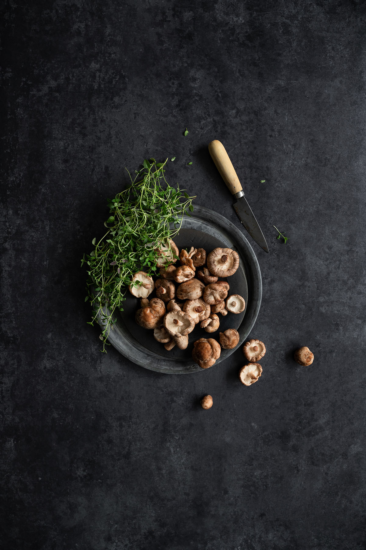 Black vinyl photography backdrop with soft texture for moody vibes