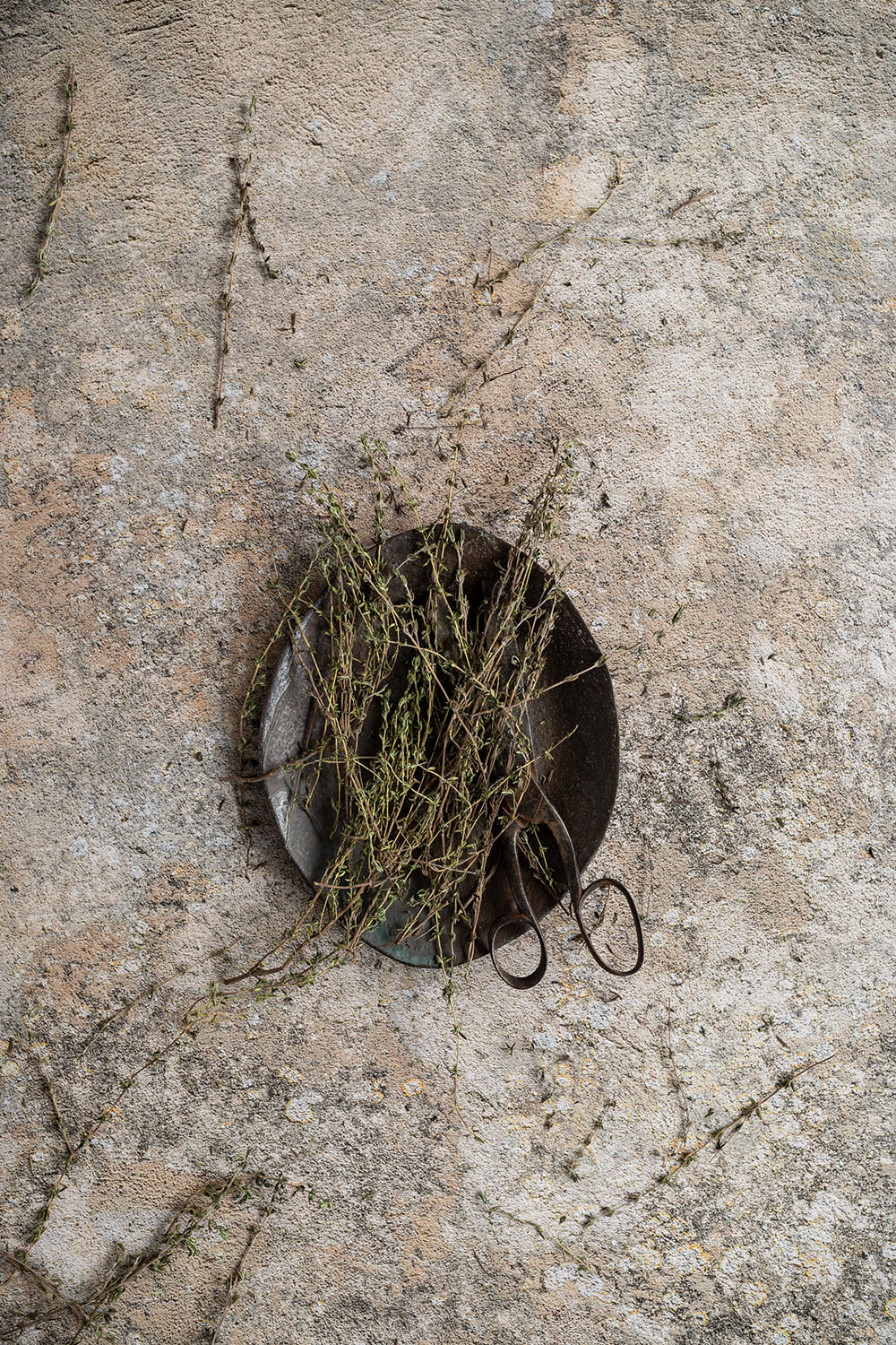 Wall backdrop for photography with weathered look and earth tones
