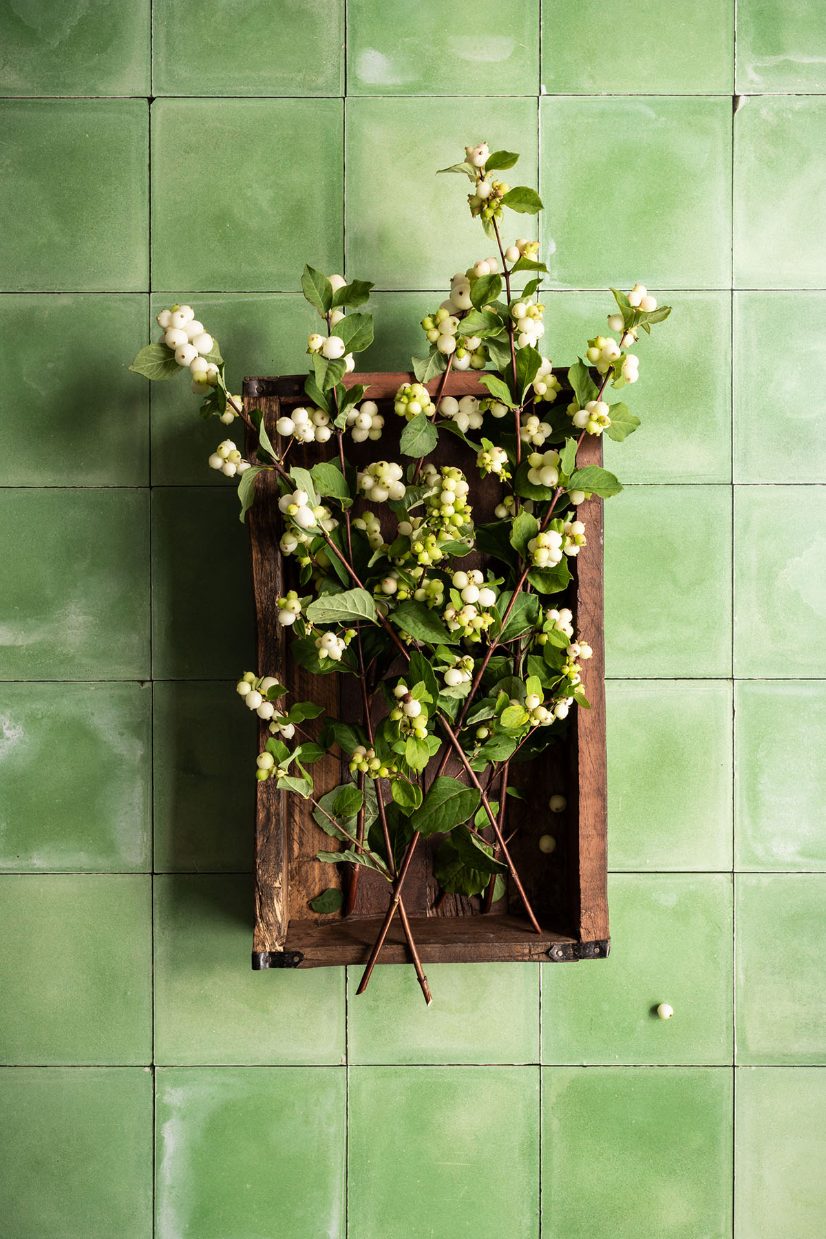 Fresh green tiles photography surface for content creation