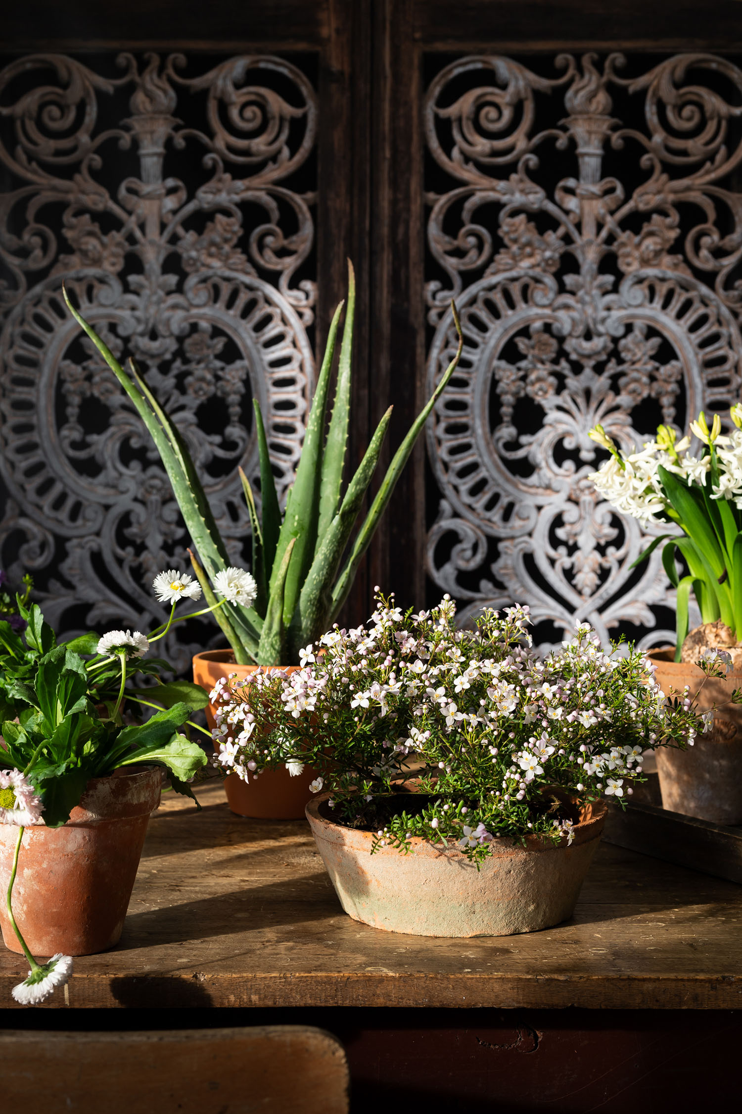 Antique iron window photography backdrop printed on rollable vinyl