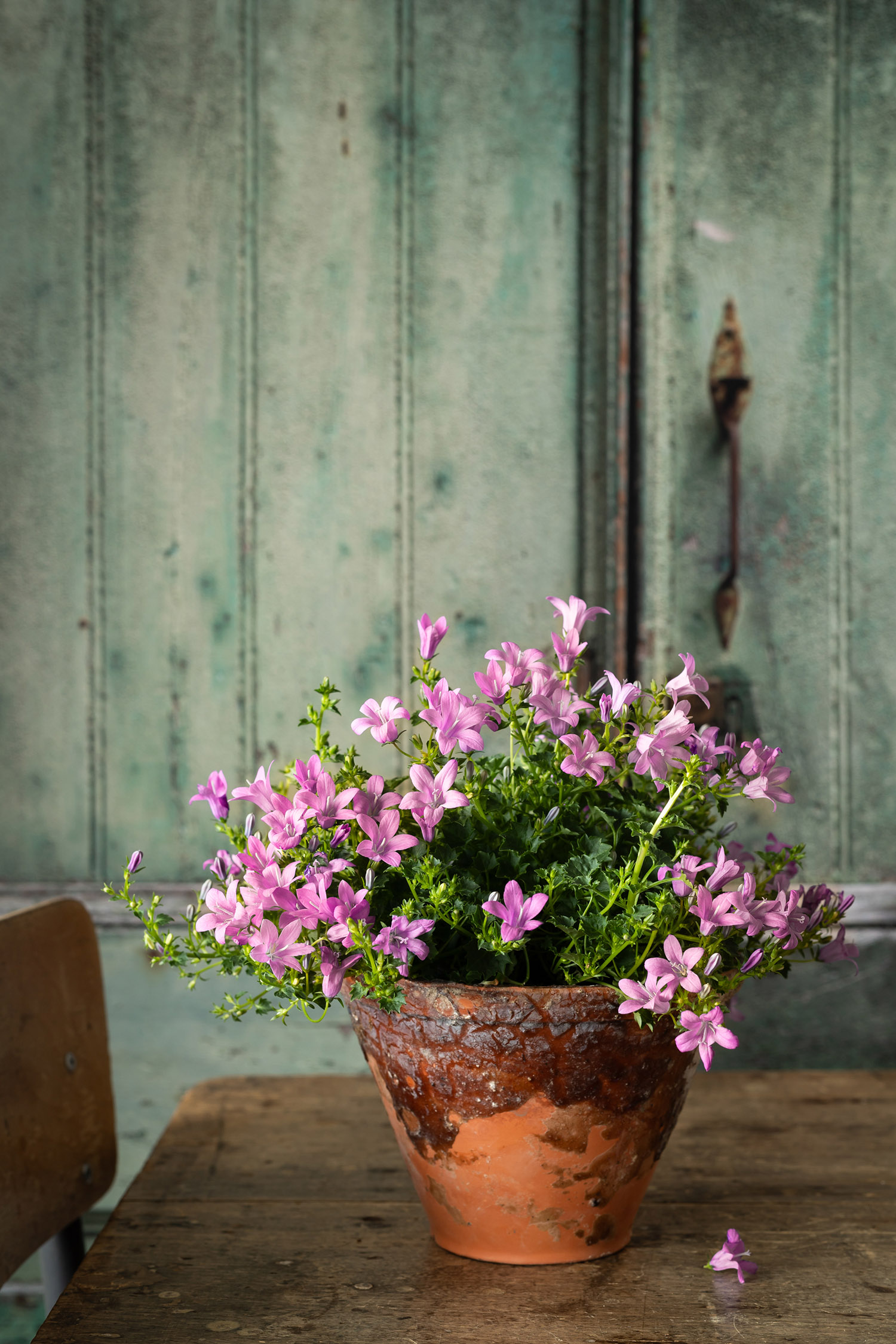 Printed pistachio patina door vinyl photography background