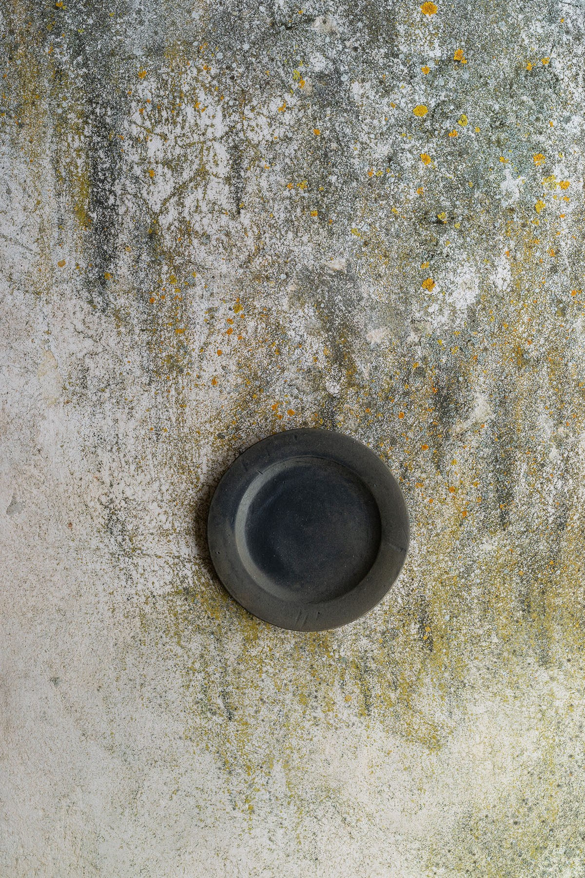 Lichen