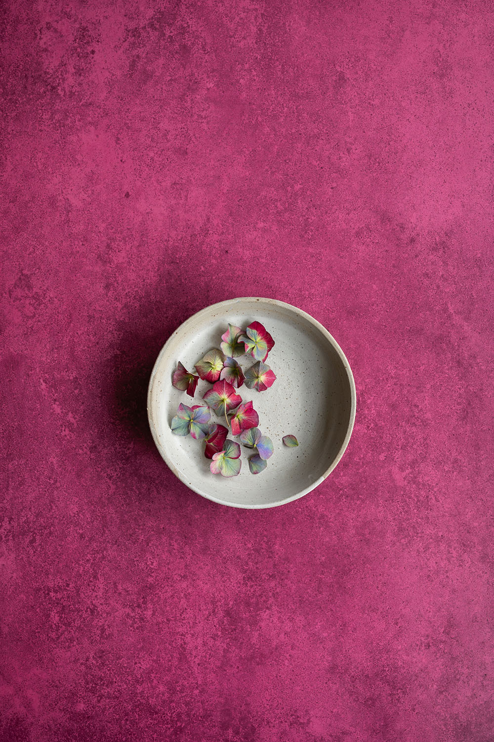 Mulberry is a rich pink purple food & product photography backdrop