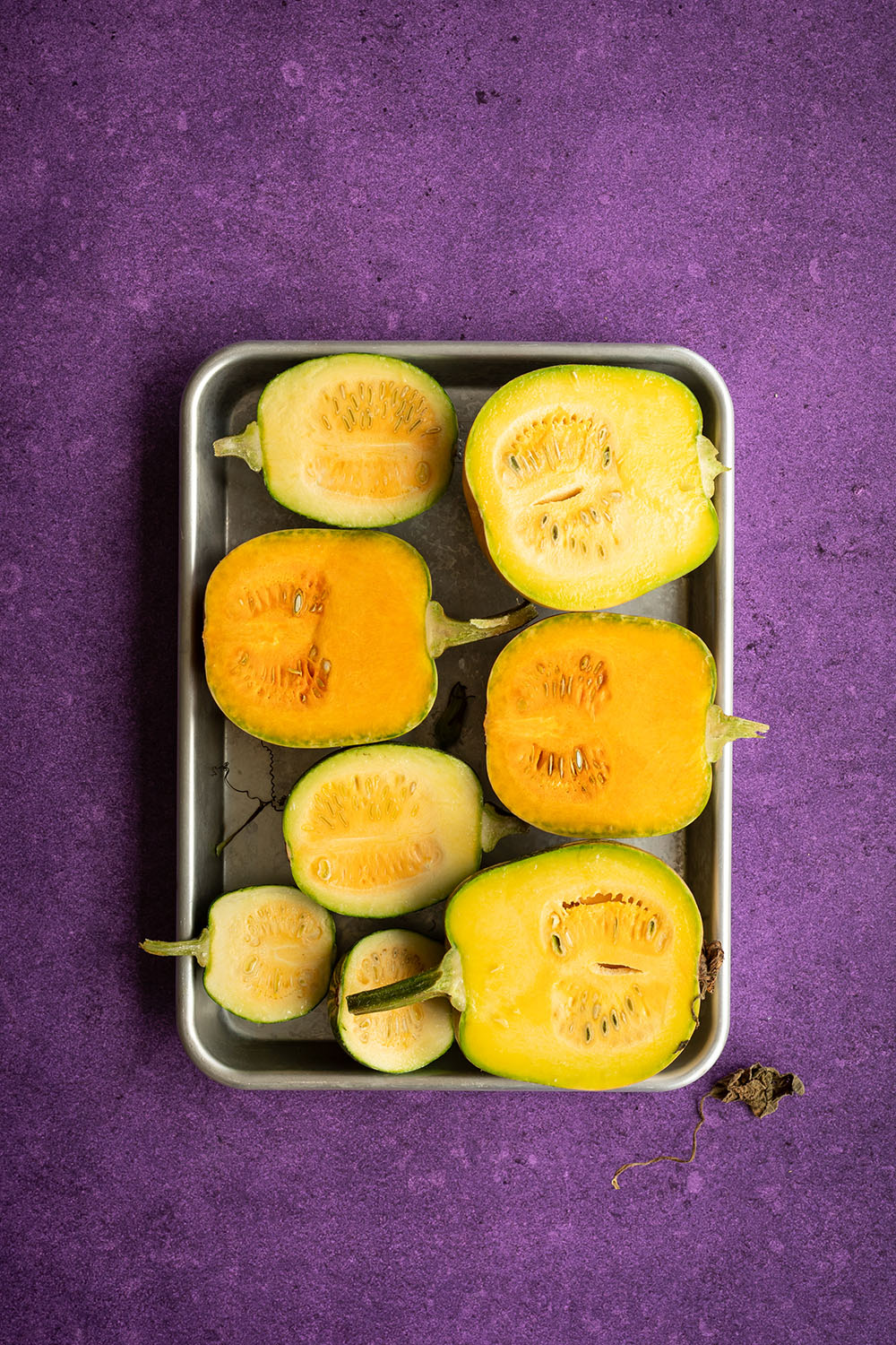 Purple photography background in luxurious purple shade