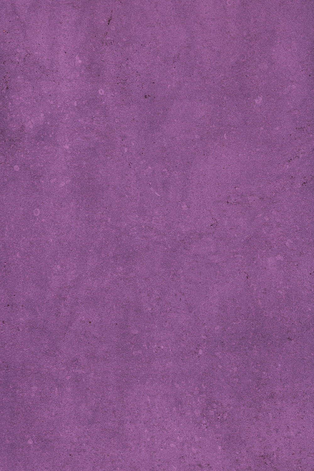 Purple photography background in luxurious purple shade