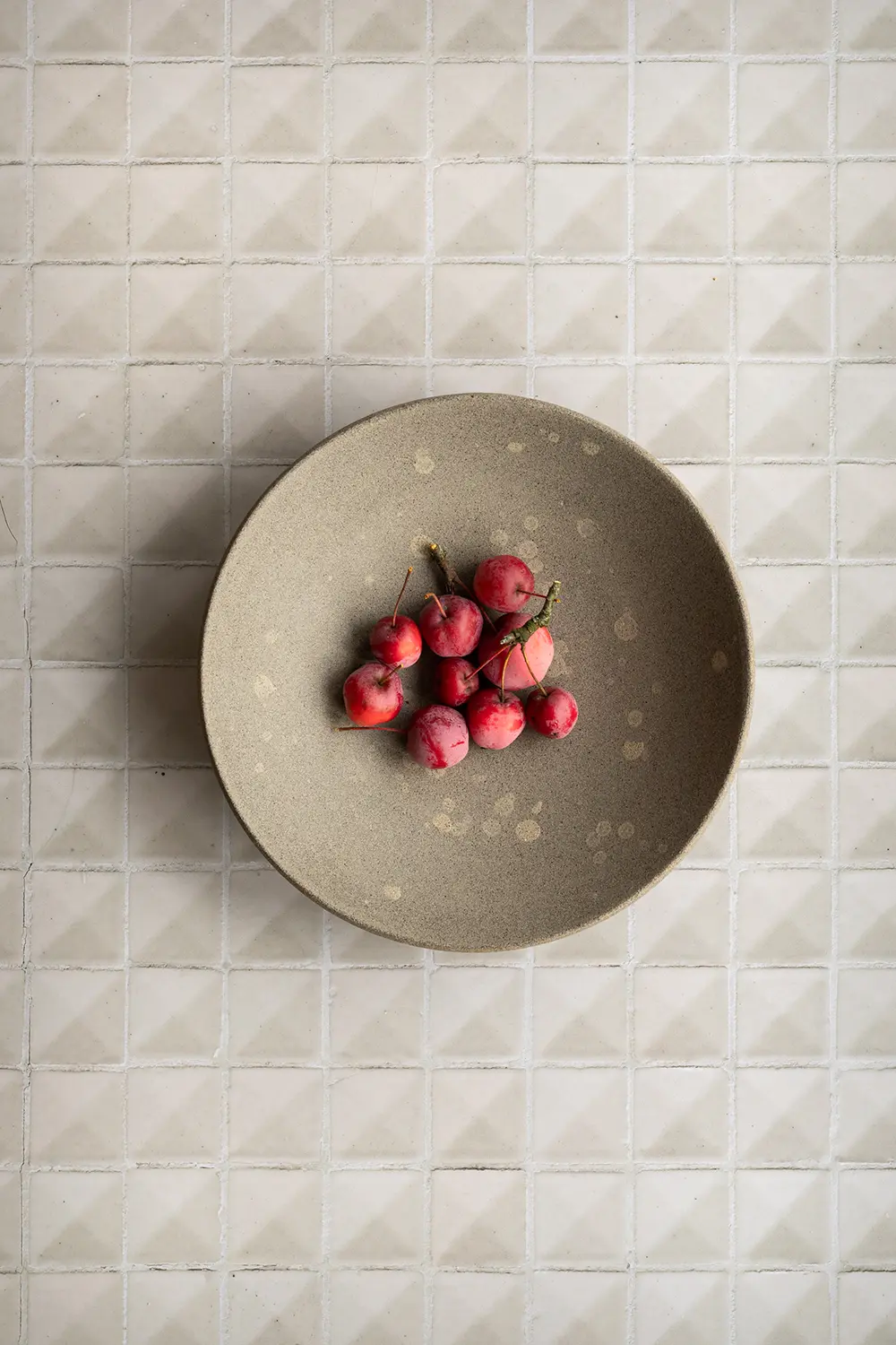 Beige mini tiles vinyl backdrop for visual content creation