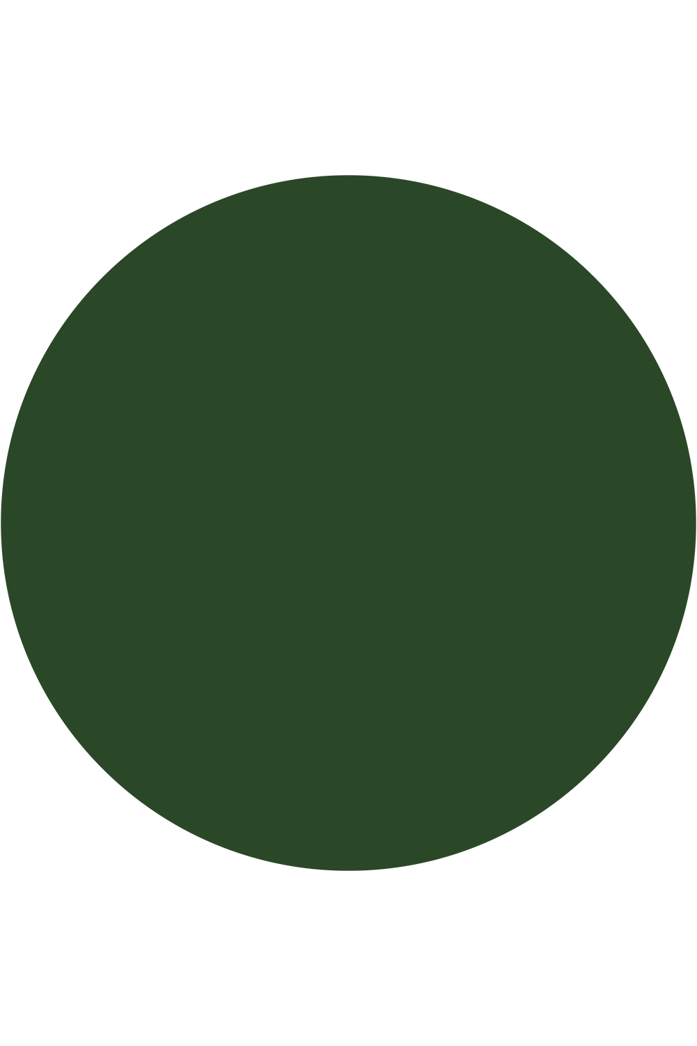 Forest green vinyl background for product & food photography