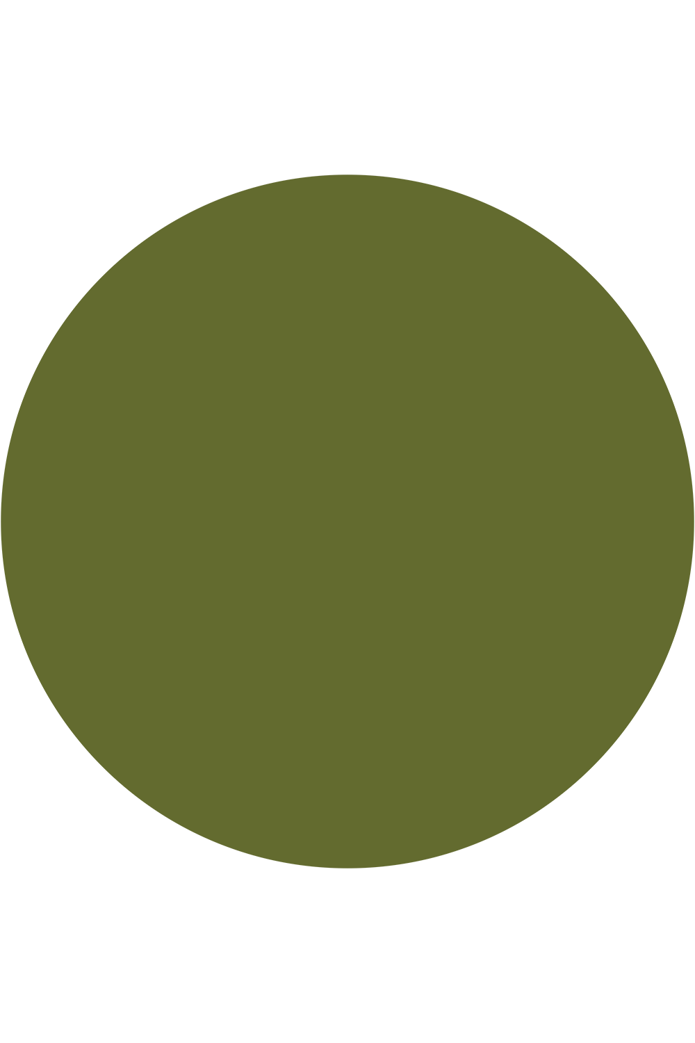 Solid olive color surface for flat lay styling and product photography