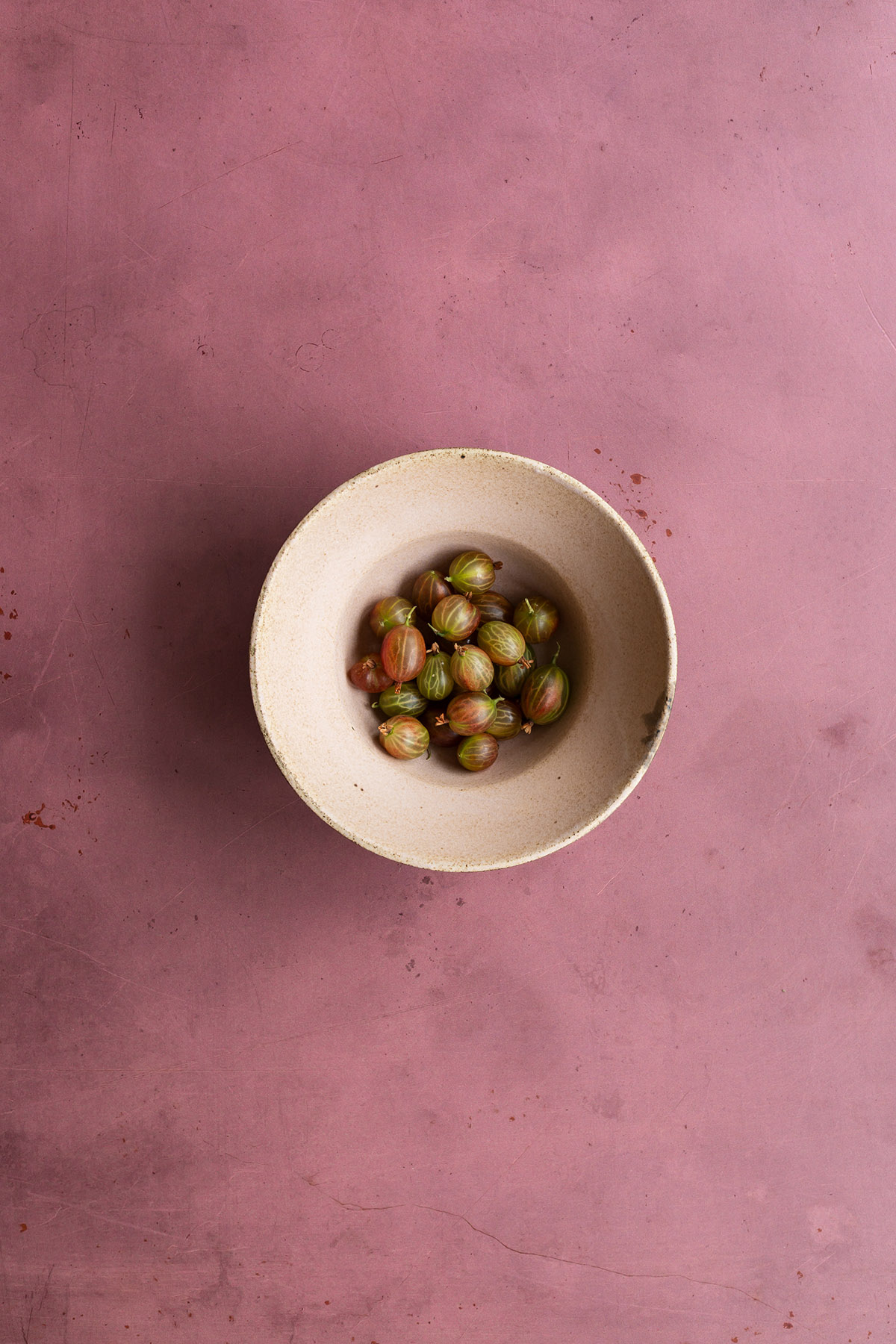 Dusty ash rose vinyl photography backdrop