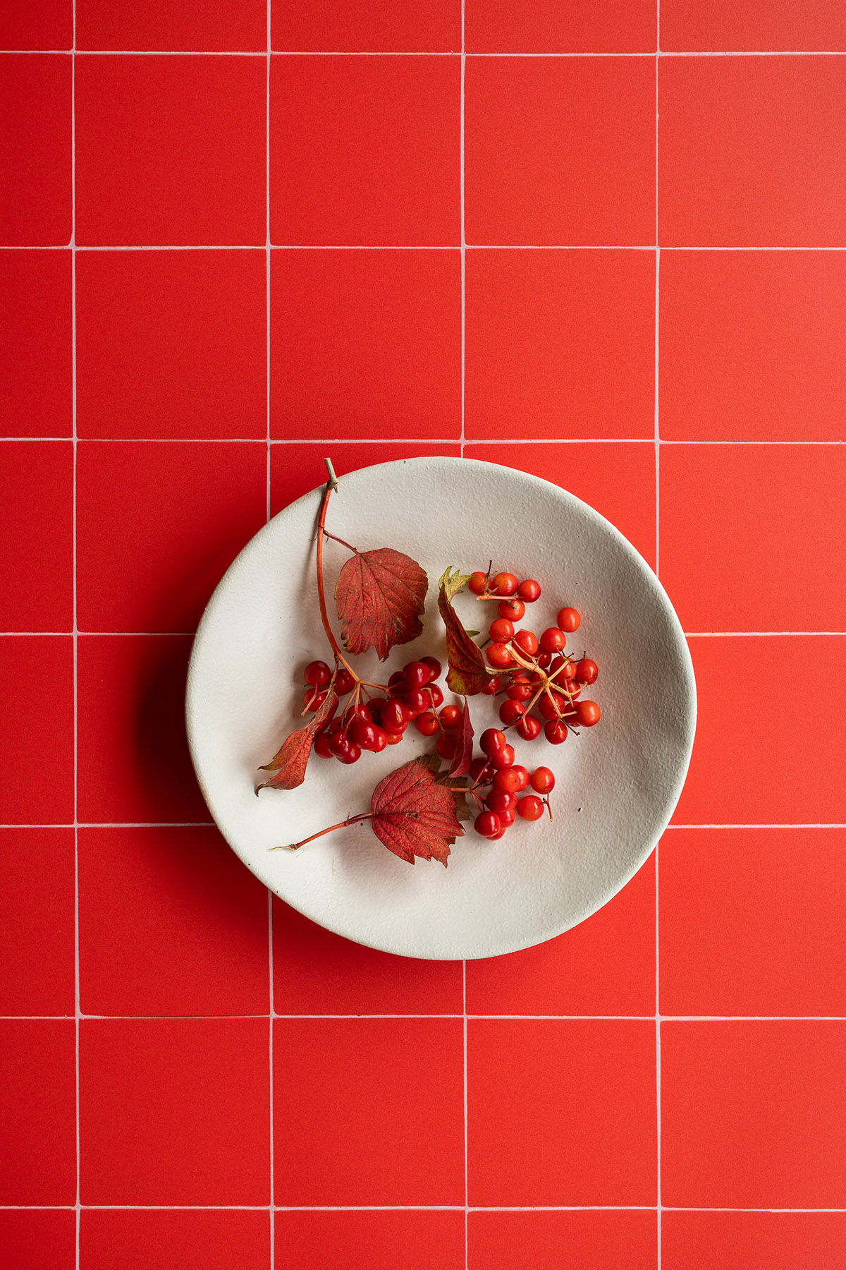 Red tile vinyl backdrop for product & food photography