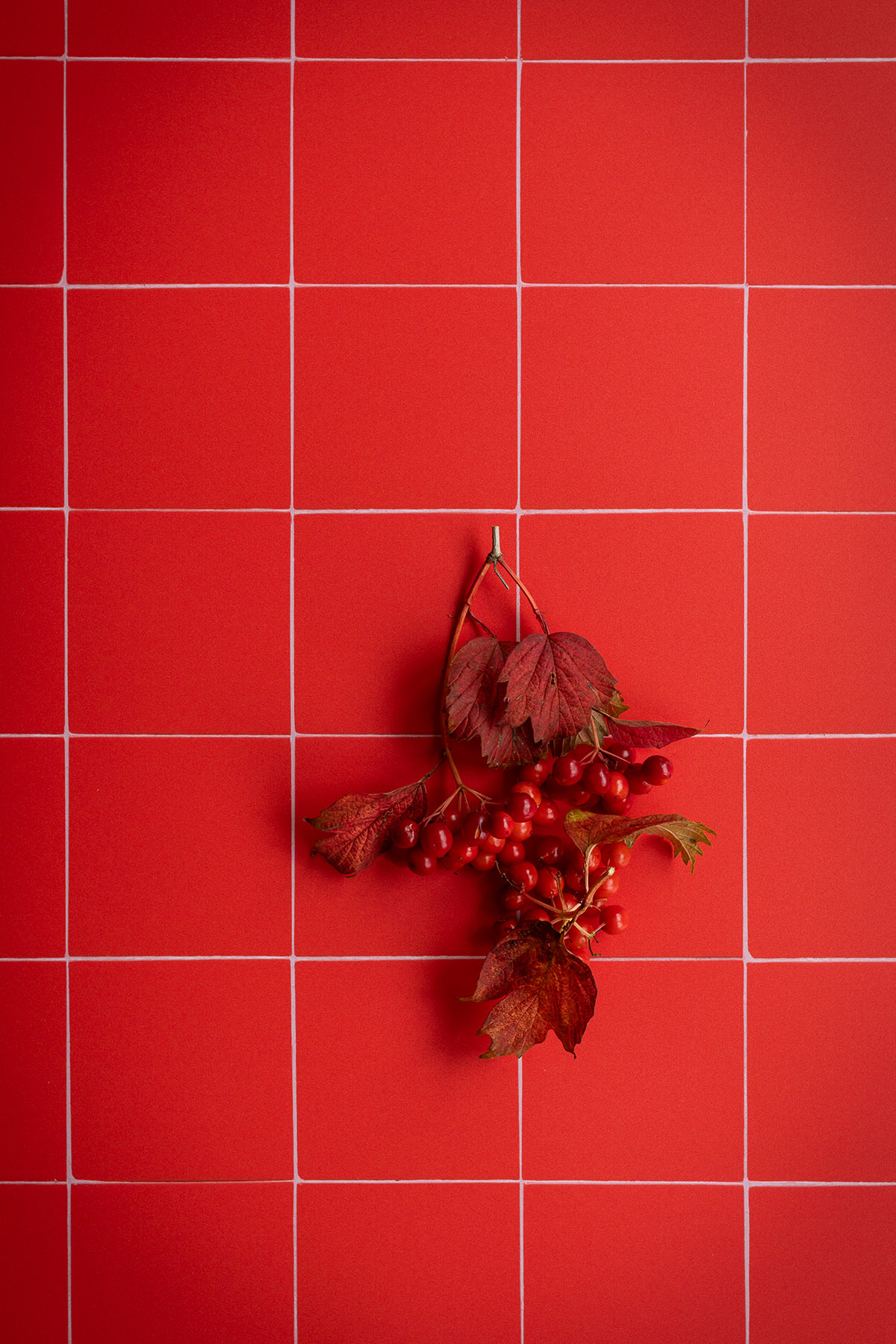 Red tile vinyl backdrop for product & food photography