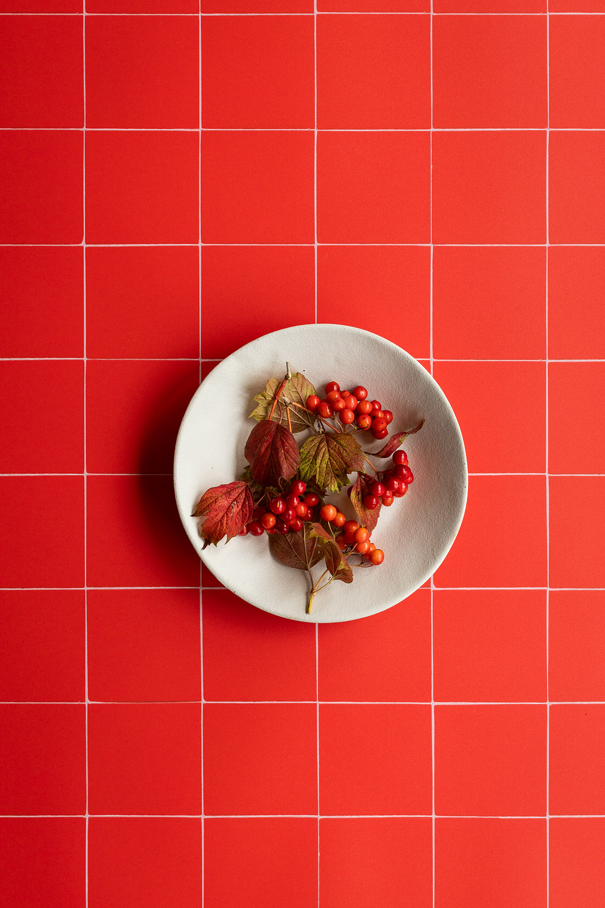 Red tile vinyl backdrop for product & food photography