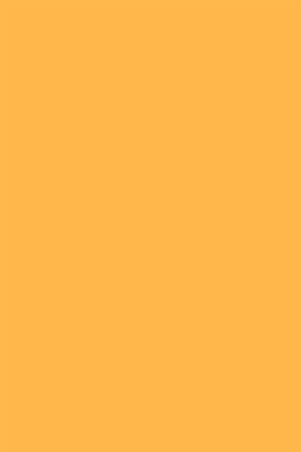 Warm yellow photography backdrop | food & product Photos