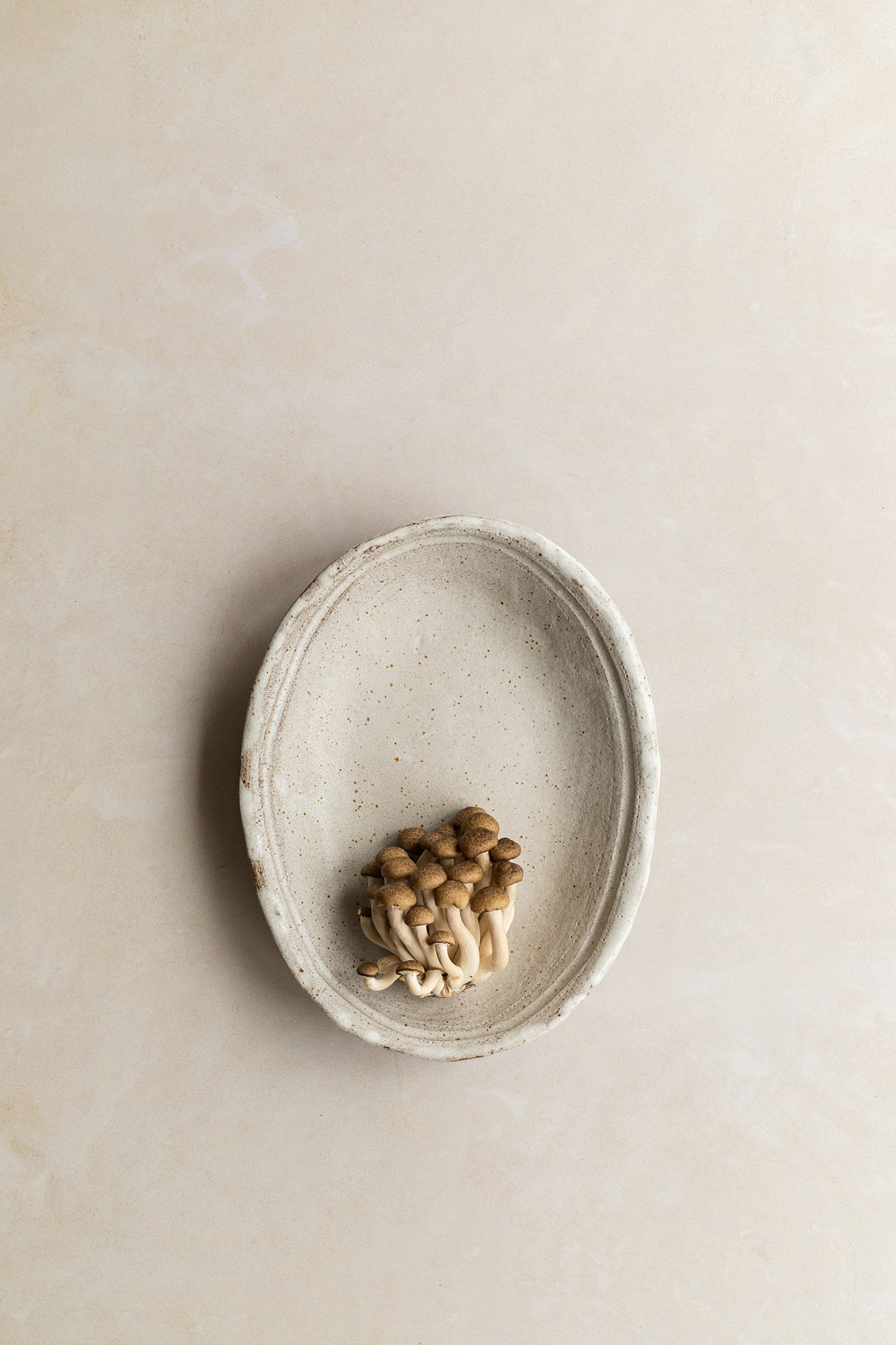 Beige plaster photography backdrop for styling food and brands