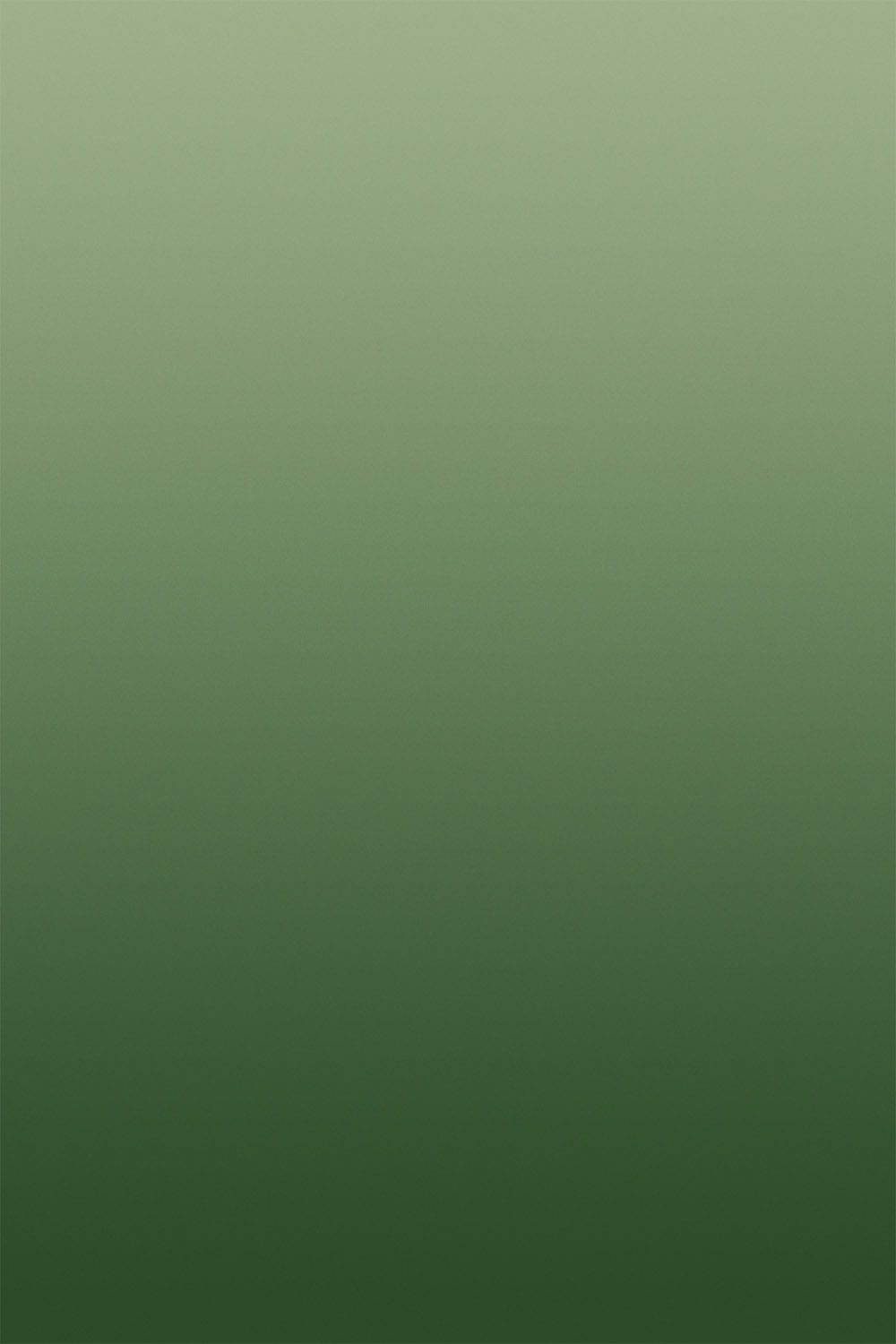 Green gradient vinyl photography backdrop printed on vinyl