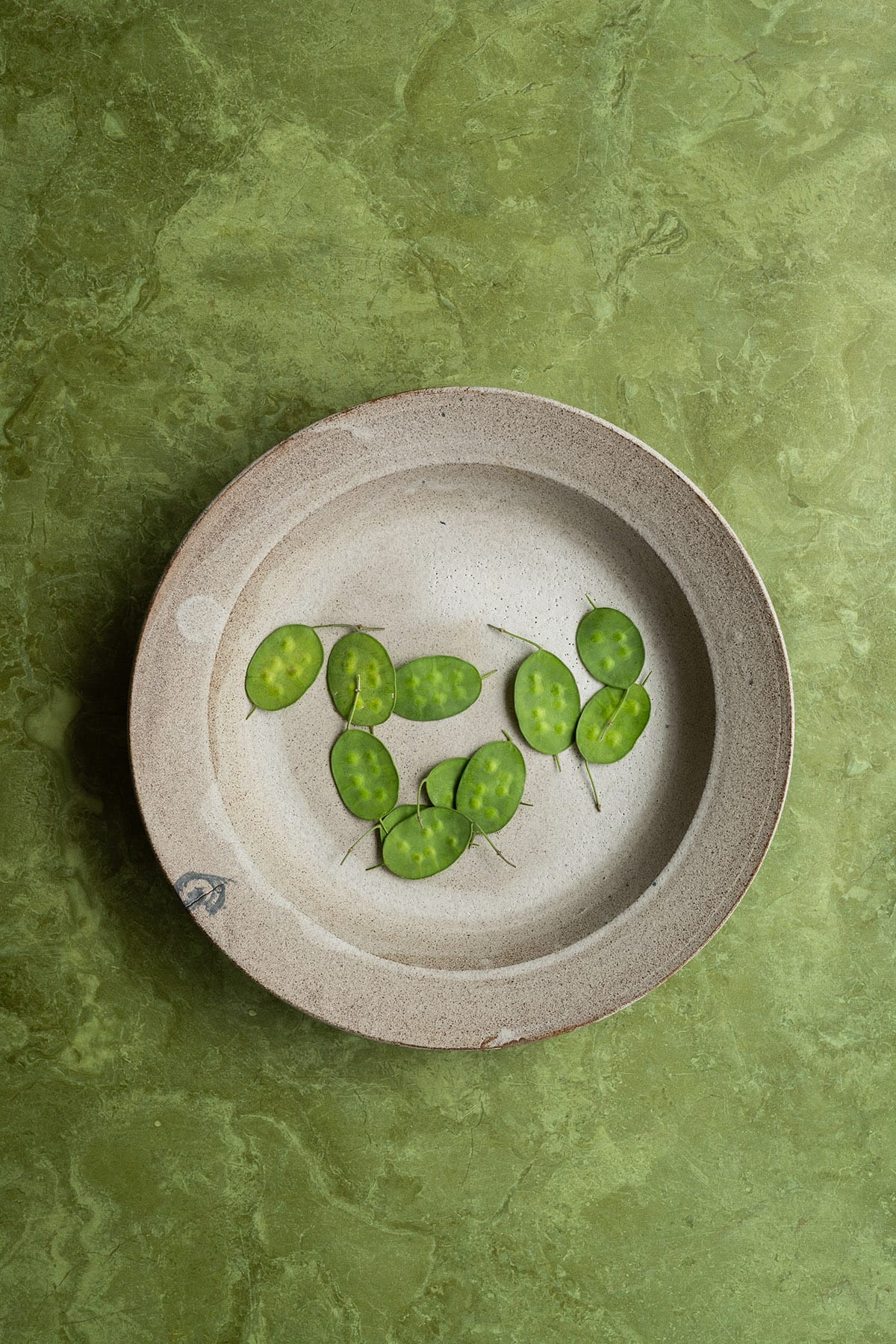 Green vinyl surface for photography and film: Made in the EU