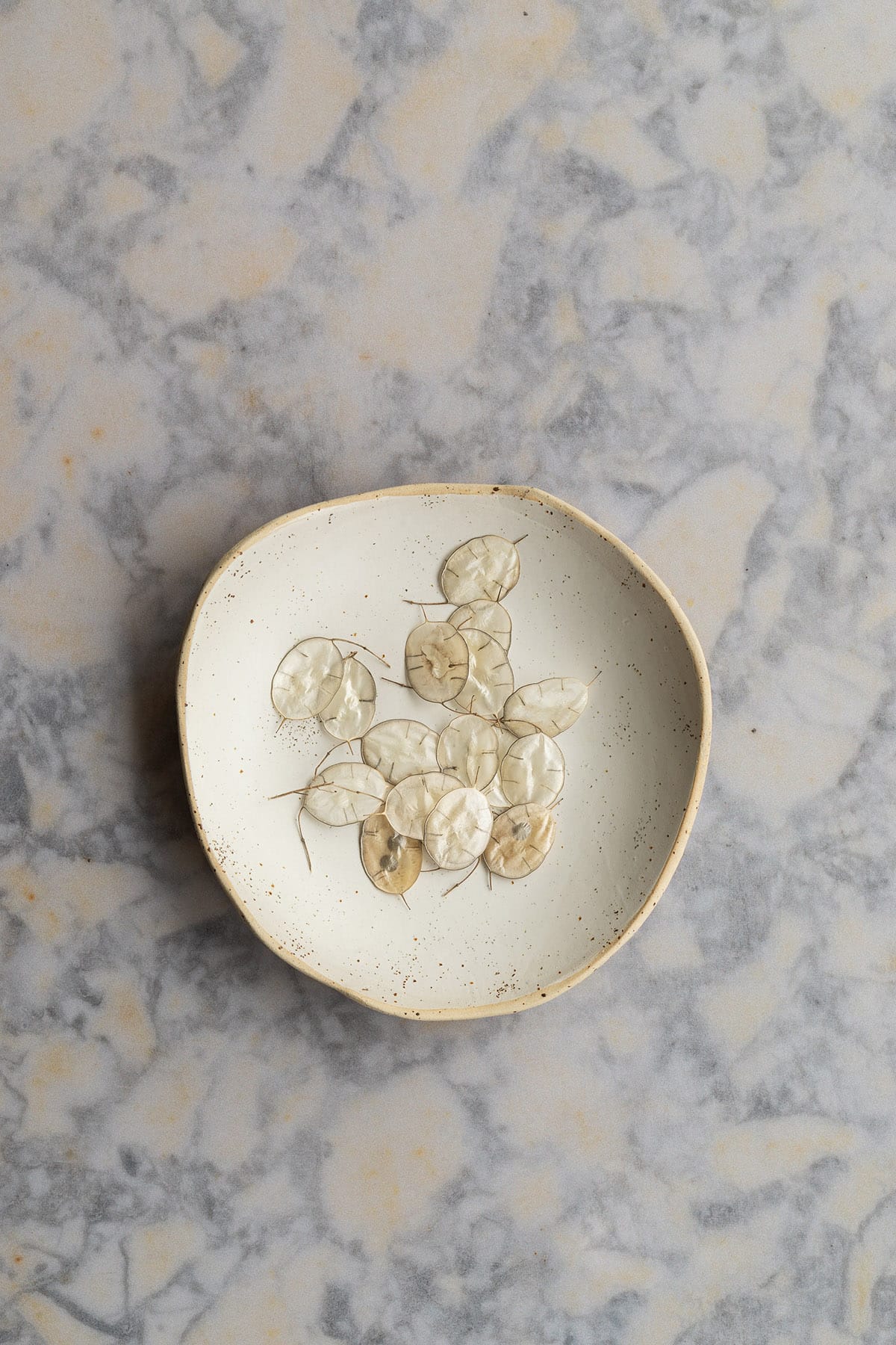 Marble photo backdrop for food and product photography