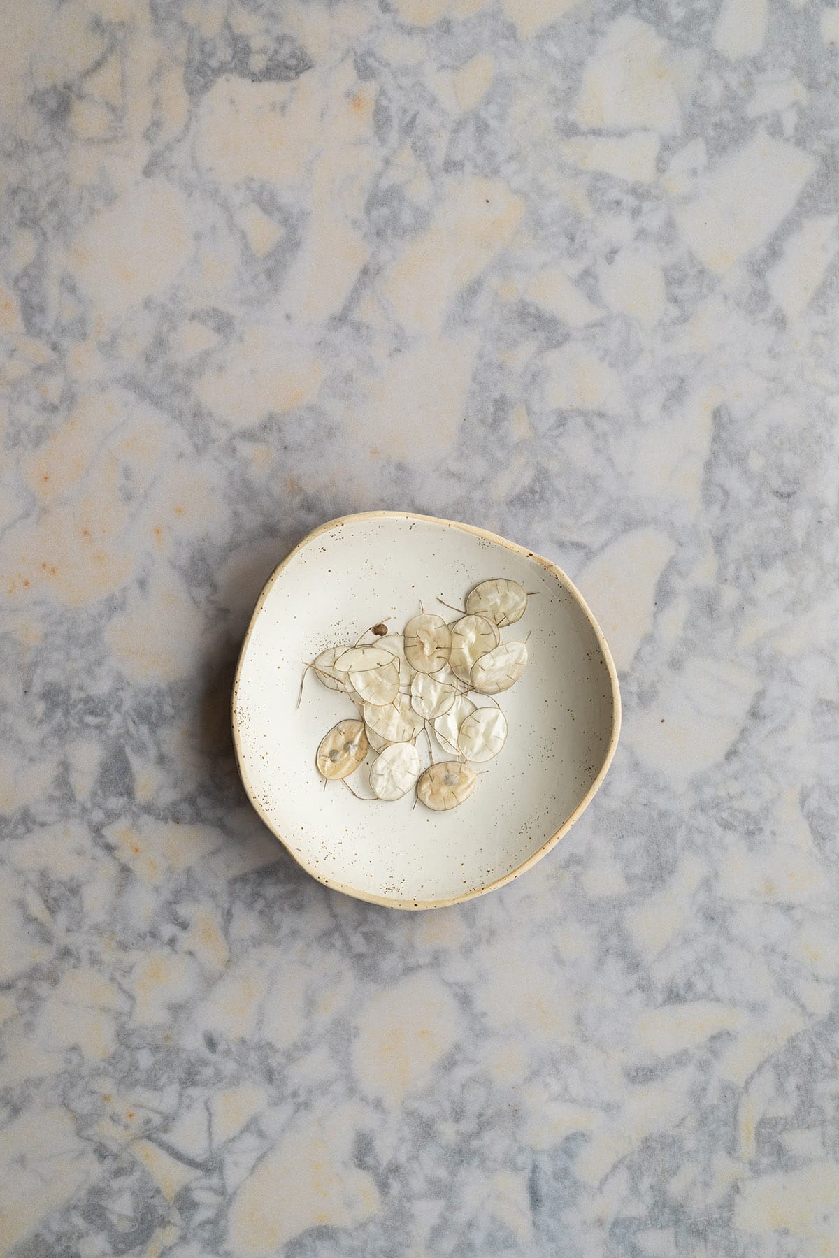 Marble photo backdrop for food and product photography