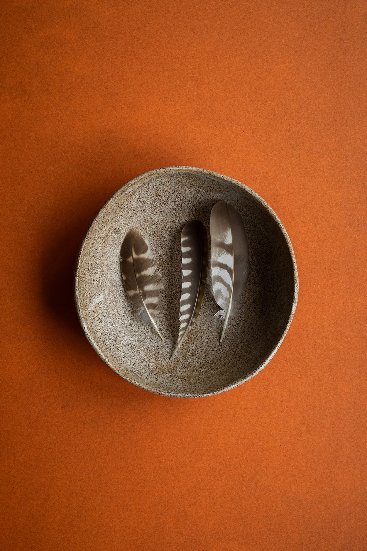 Orange rust photography backdrop: Classic fall color