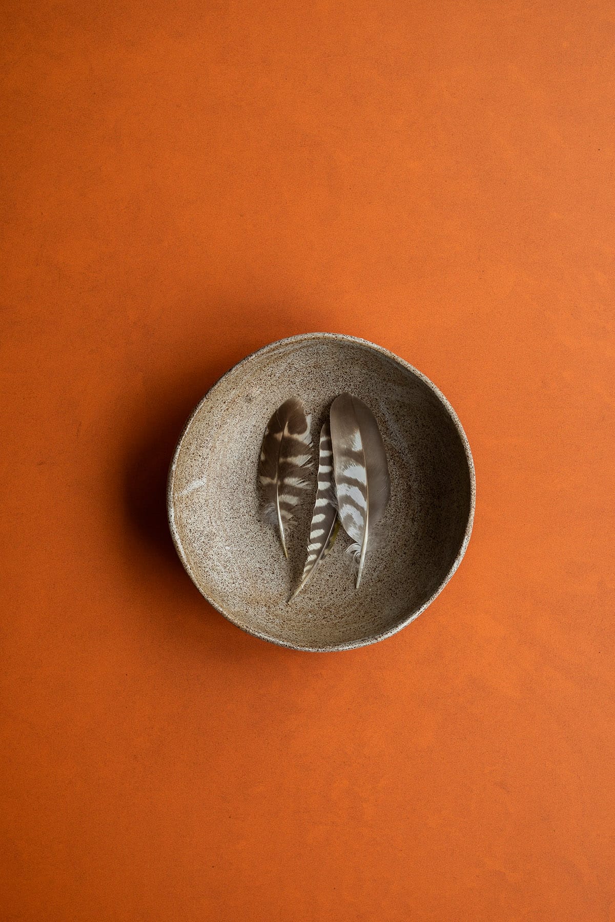 Orange rust photography backdrop: Classic fall color