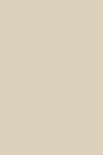 Beige vinyl backdrop