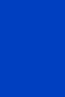 Blue vinyl backdrop