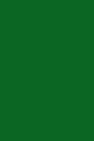 Green vinyl backdrop