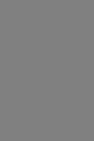 Grey vinyl backdrop