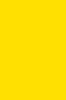 Yellow vinyl backdrop