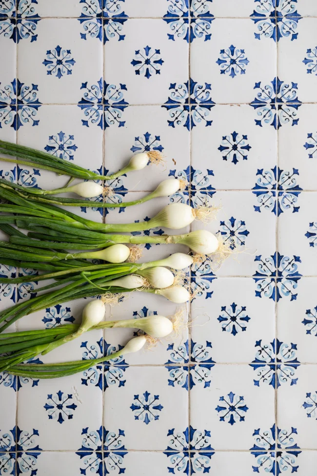 Photography backdrop with blue-white Portuguese azulejos tiles