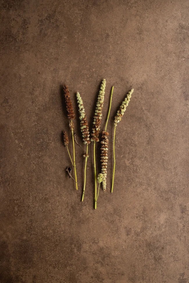 Brown photography surface made of high quality smooth vinyl