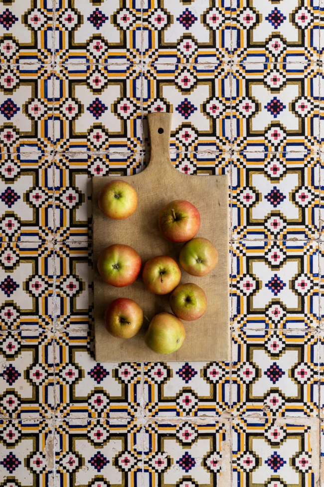 Multi color tile photography and styling background print on vinyl