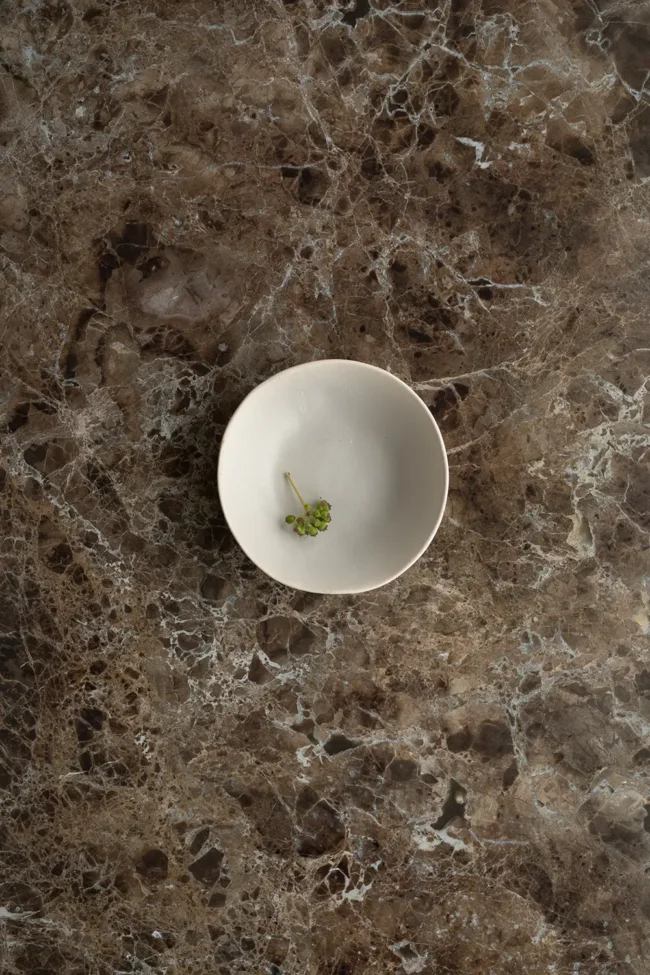 Marble backdrop dark brown with bold veining for photography
