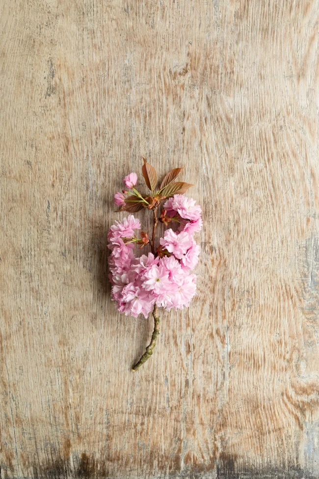 Wooden backdrop for photography printed on rollable vinyl