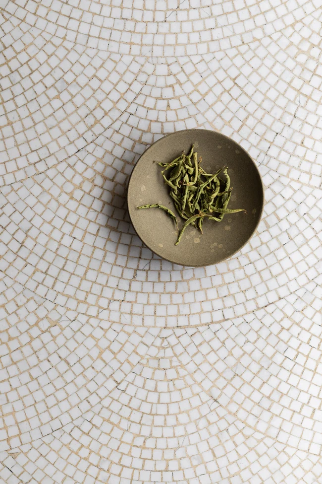 Scallop Mosaic Tile Backdrop | White Tile Background