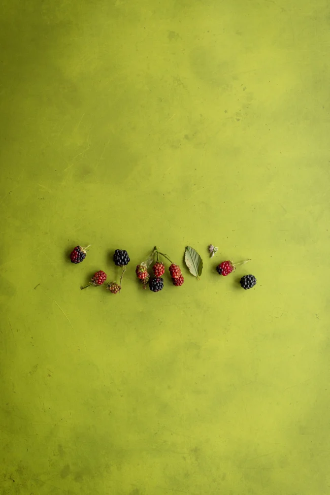 Olive green photography backdrop printed on vinyl
