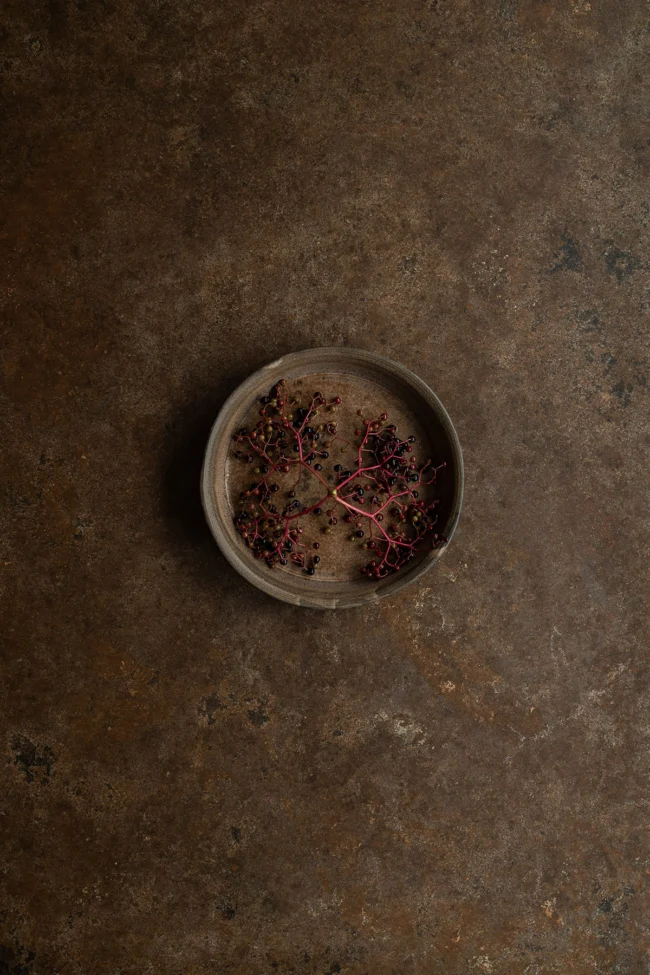 Brown backdrop with warm chocolate tones for moody photography