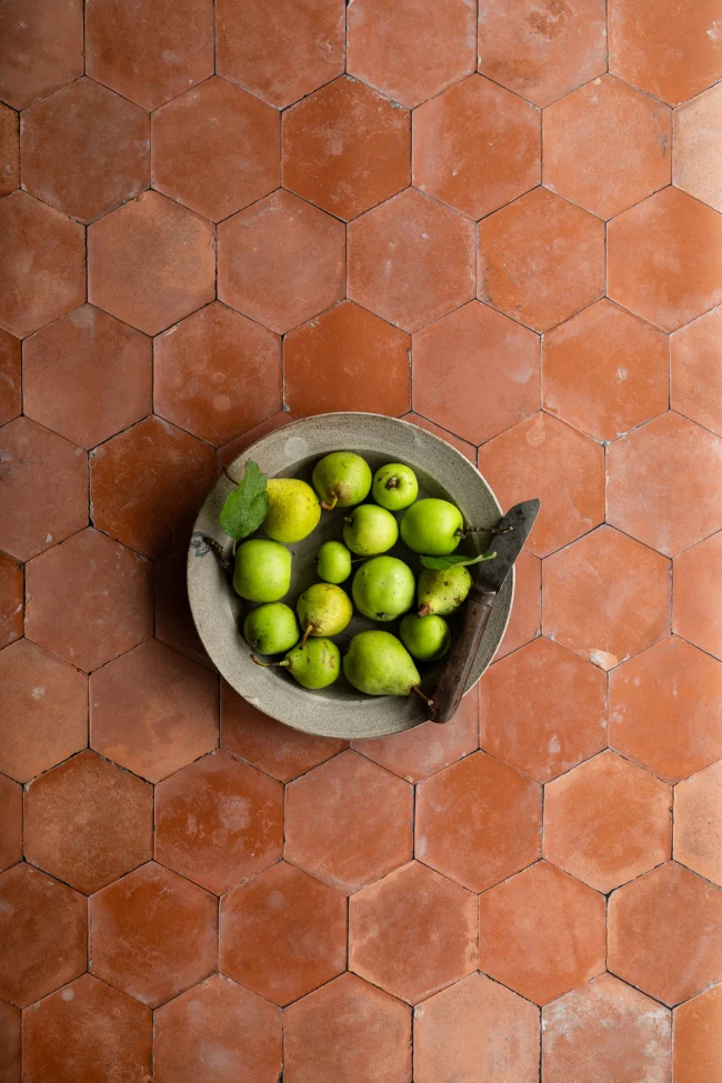 Terracotta hexagon tile backdrop for photography