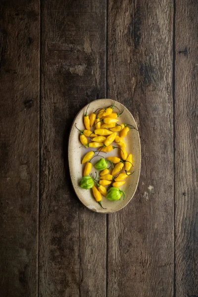 Oak wood vinyl photography backdrop for moody visuals